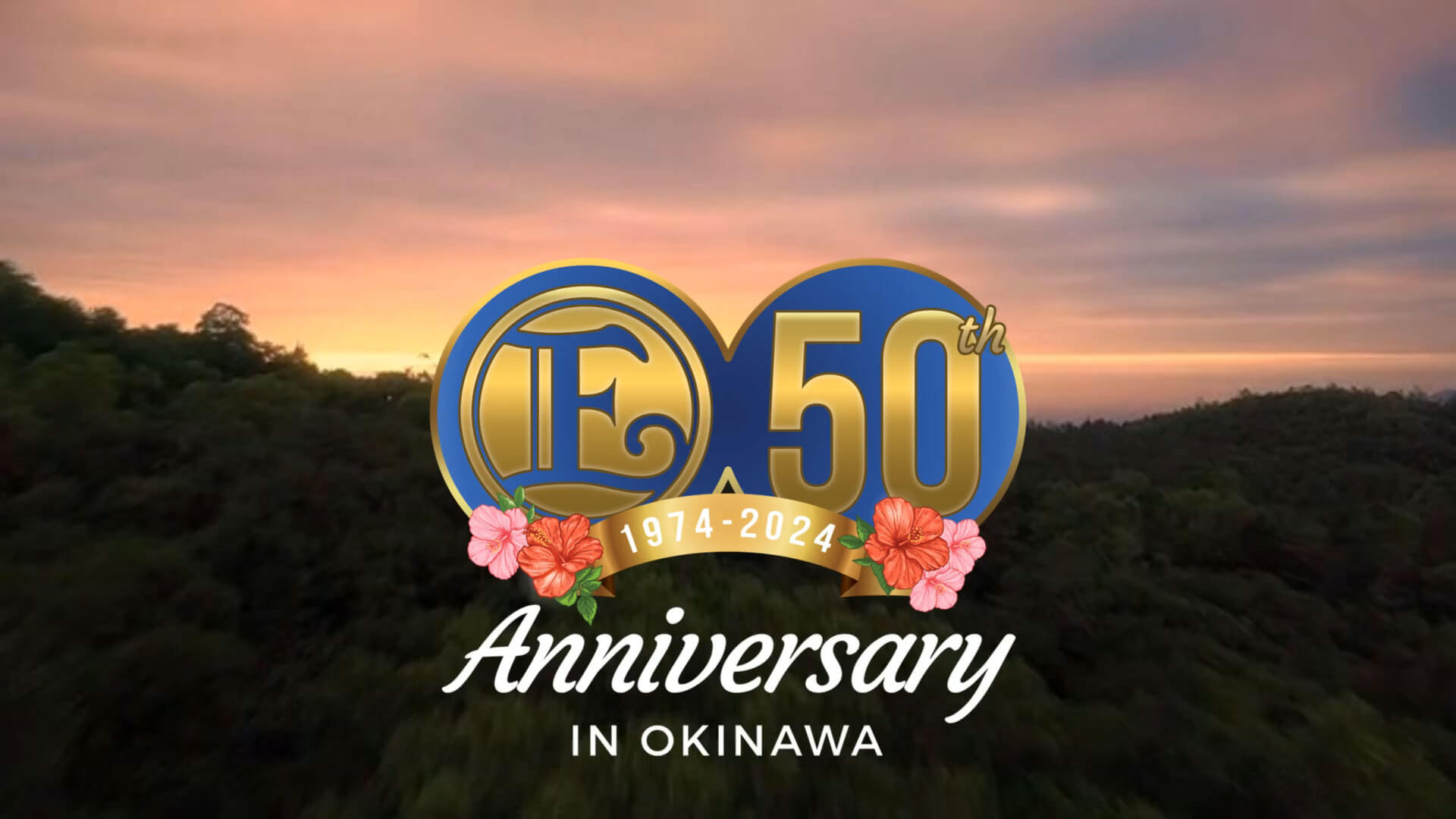 映画のチラシ  214 種類 441枚　2024/06/08 更新しました。 映画のチラシ 214 種類 441枚 2024/06/08 更新しました。
